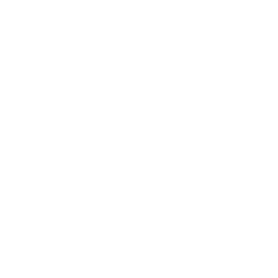 Leader