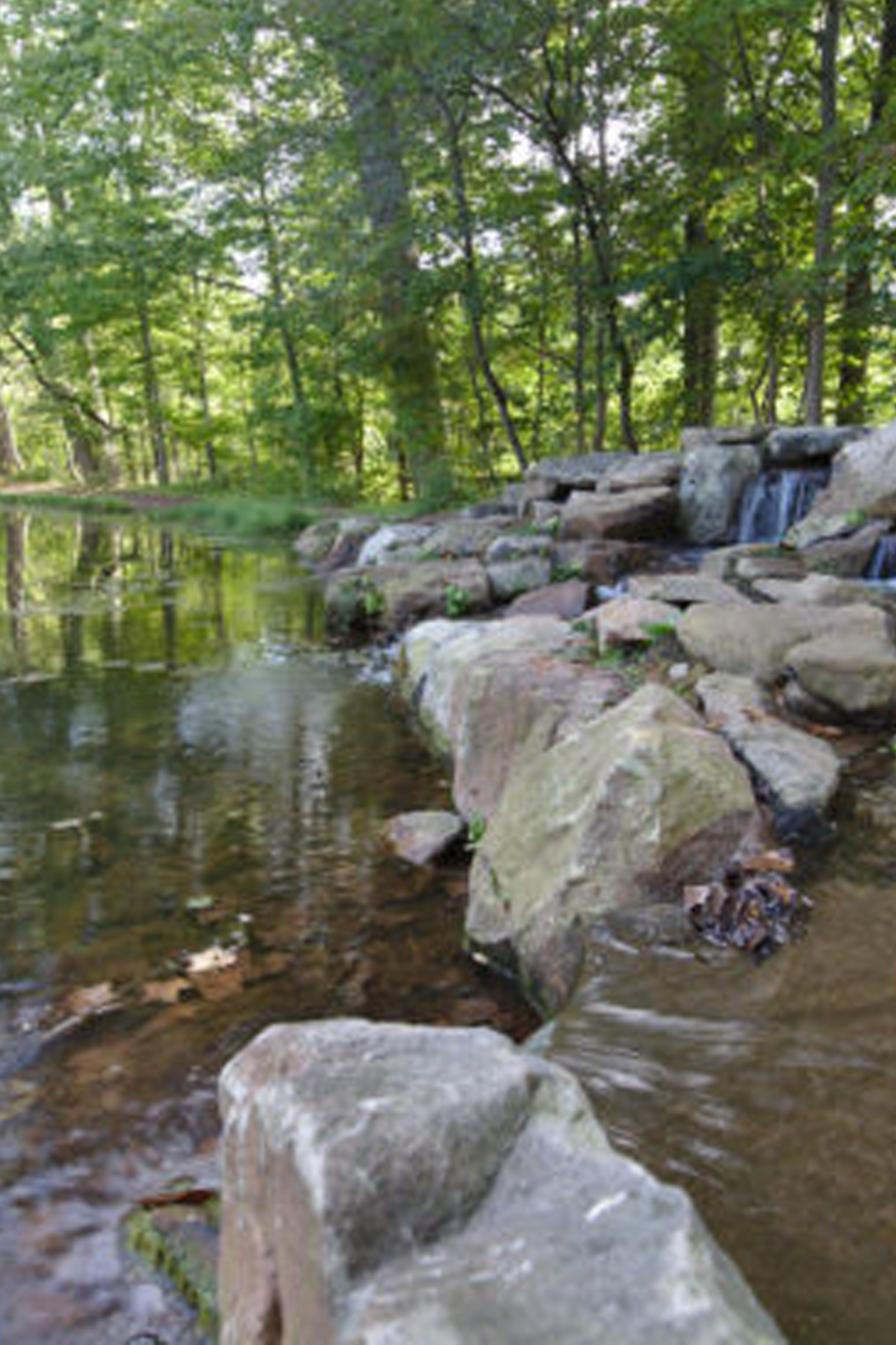 Refreshing Mountain | Summer 2022 Nature