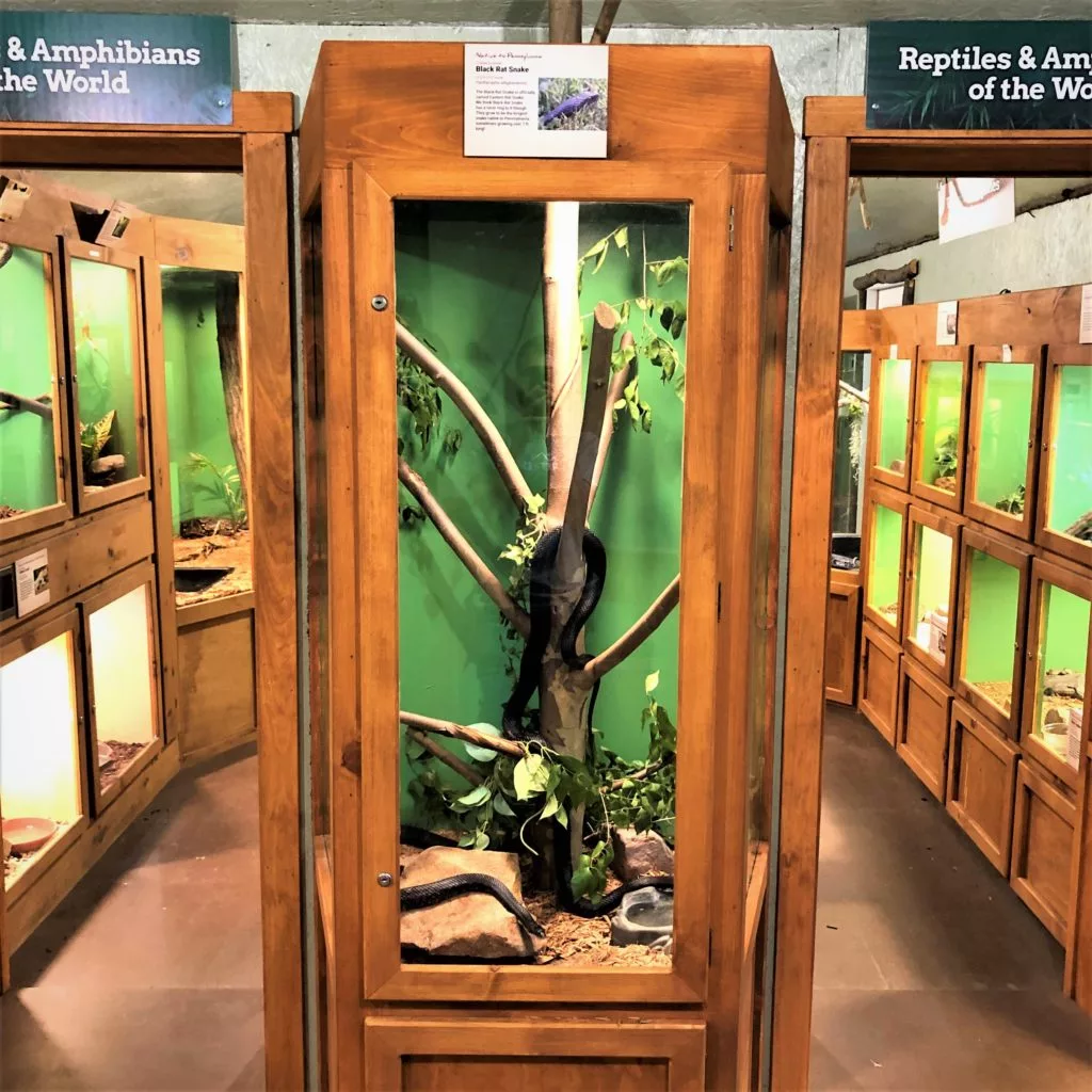 Wildlife Center Snake Exhibit 1024X1024 1