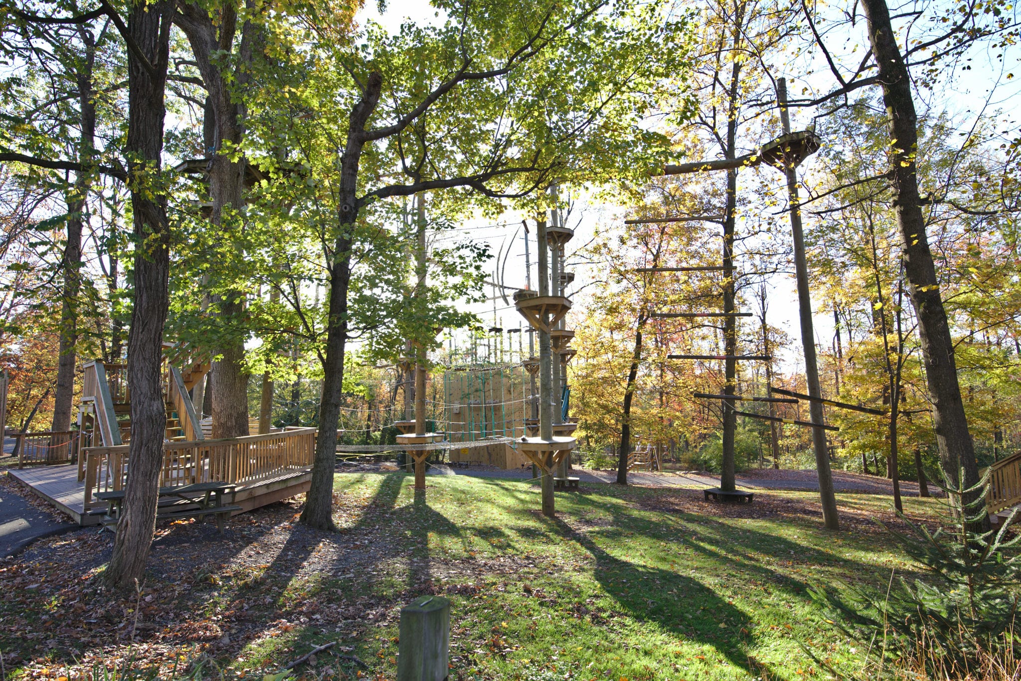 Elevated-Obstacle-High-Ropes-Fall-Autumn-Scaled Elevated Obstacle High Ropes Fall Autumn Scaled 1