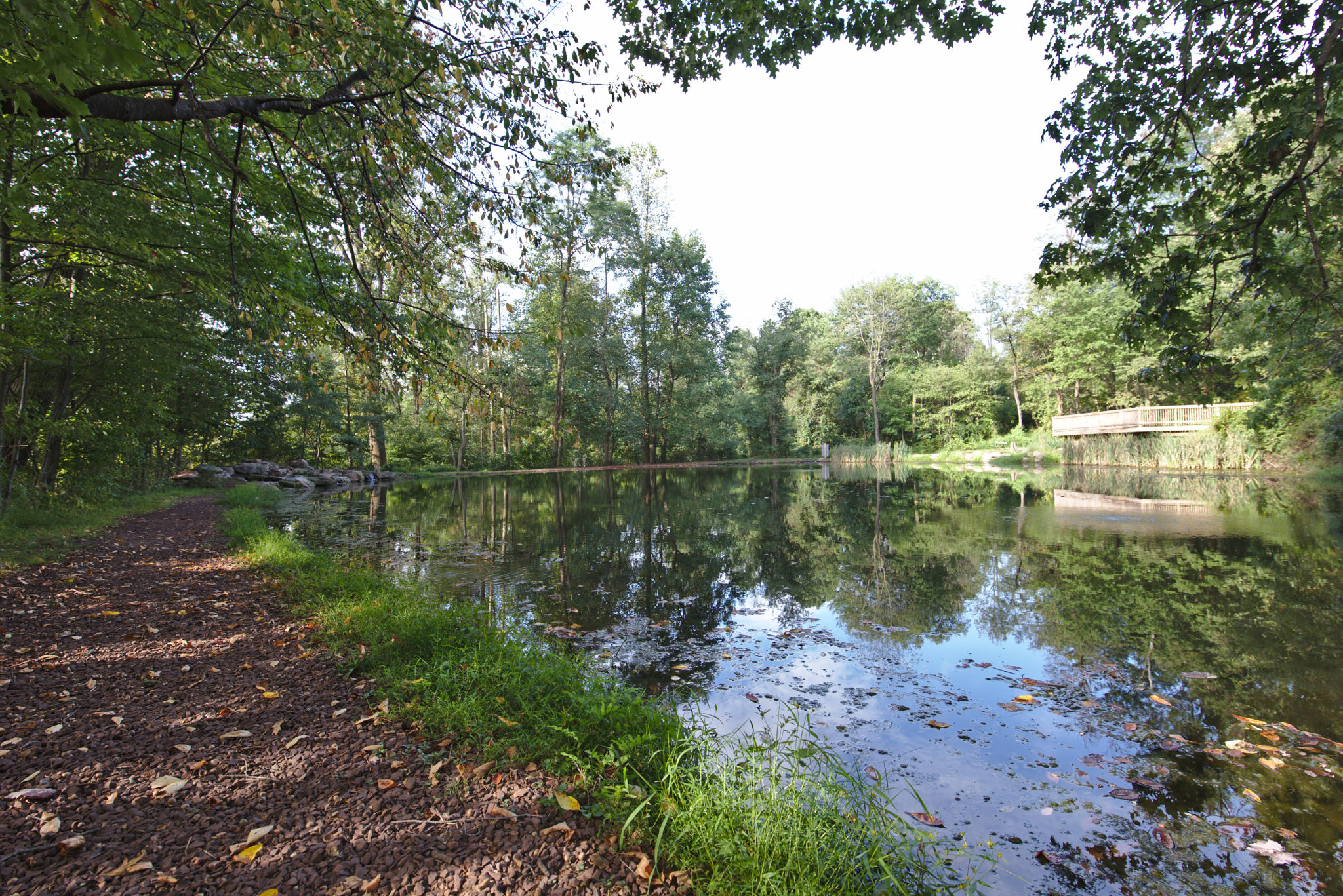 Refreshing-Mountain-Summer-Pond-Nature-1-Scaled Refreshing Mountain Summer Pond Nature 1 Scaled 1
