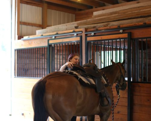 Horse Riding 1 Horse Riding 1