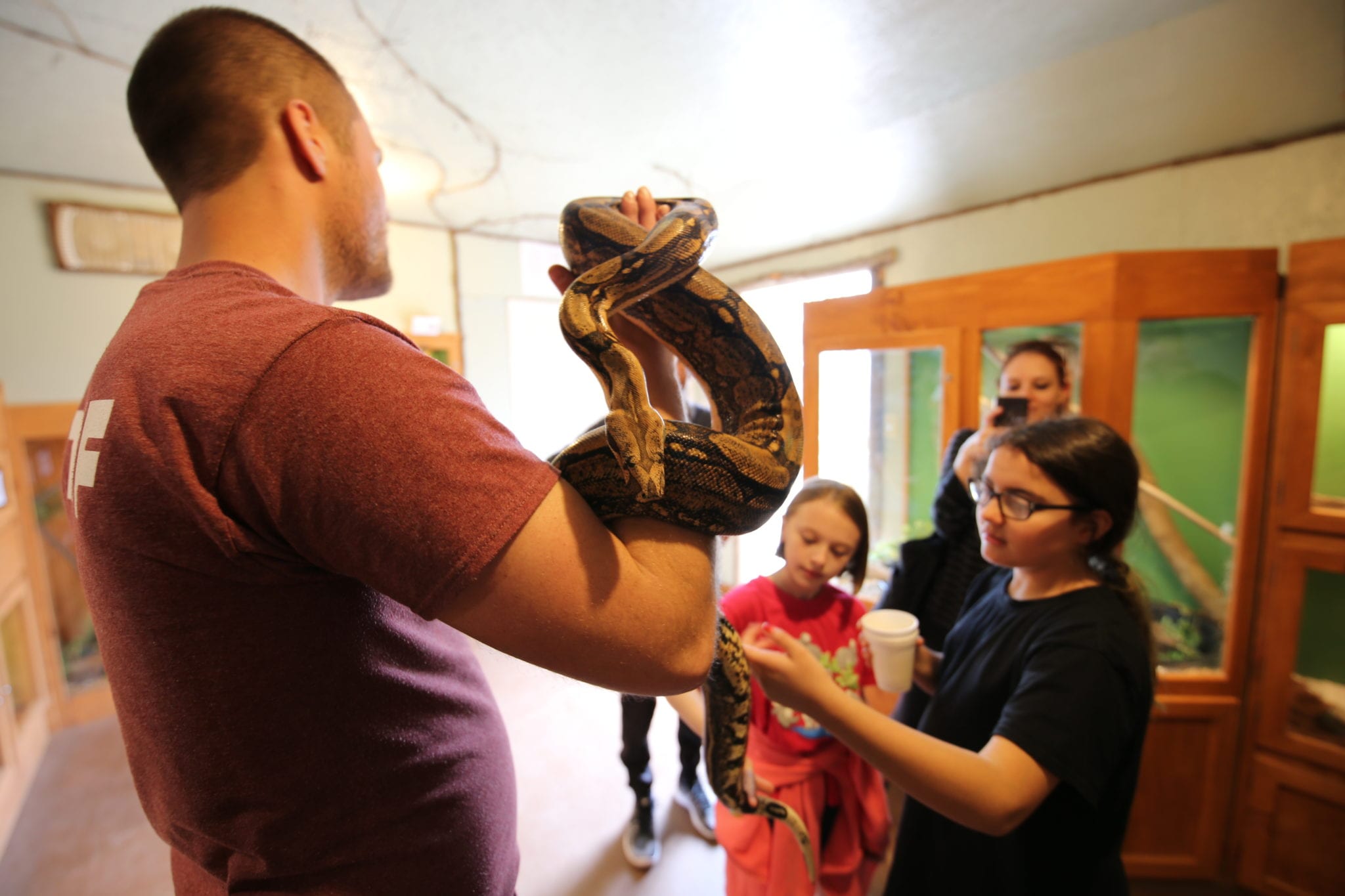 Wildlife-Center-Snake Wildlife Center Snake