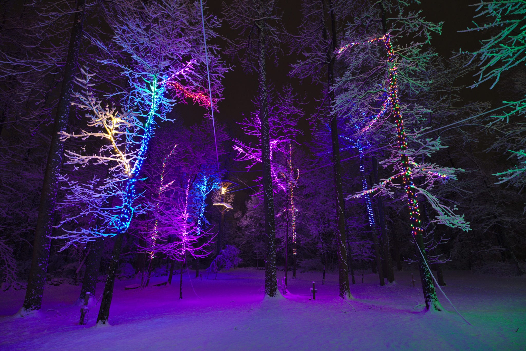 Christmas Lights Snow Ziplines Scaled 1