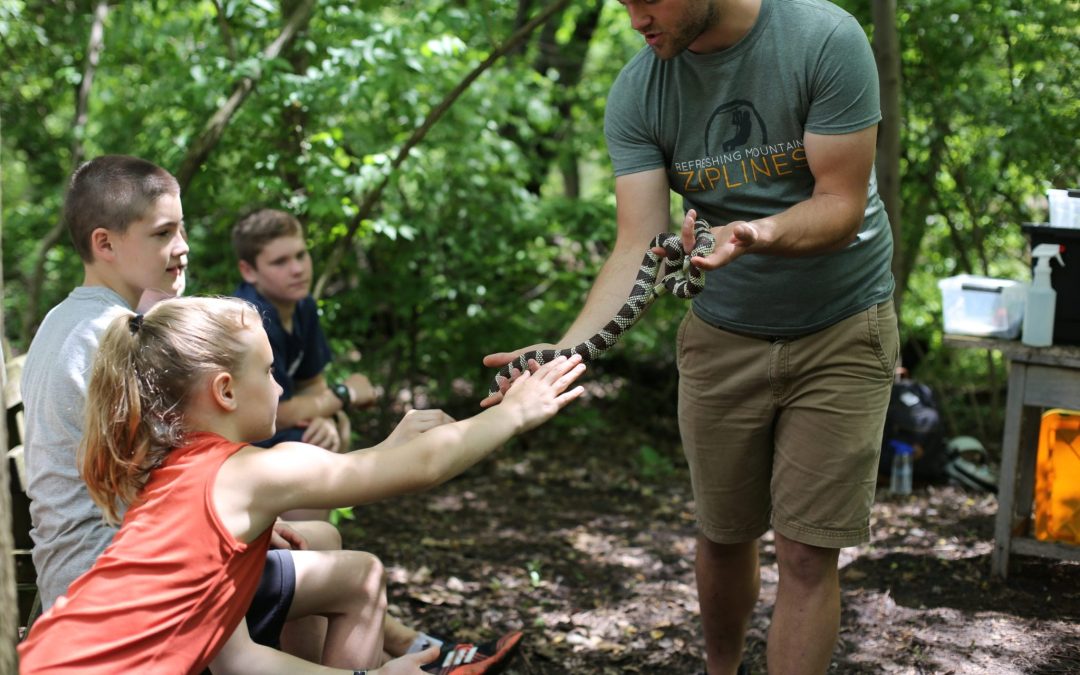 4 Fall Activities Great for Homeschoolers in Lancaster