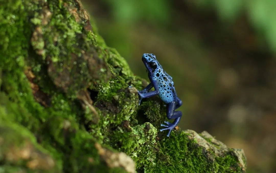 A Wildlife Experience in Lancaster, PA