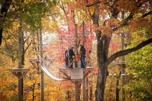 Fall_Zipline_Family_High Ropes