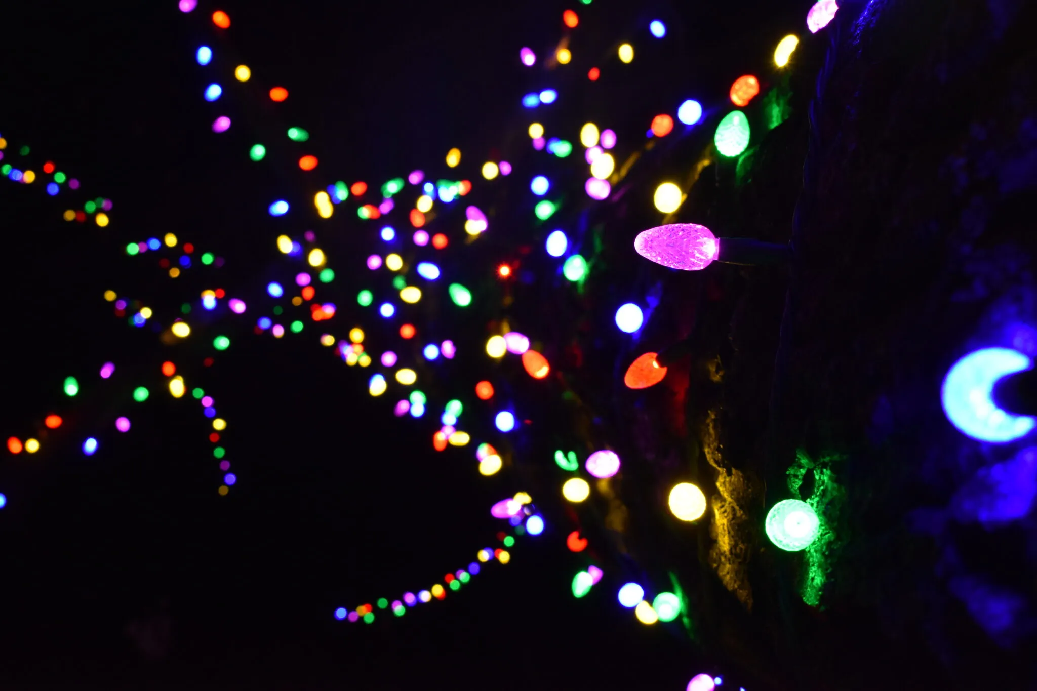 Christmas-Lights-Fun-Tree-Winter-Scaled-1.Jpg Christmas Lights Wrapped Around Tree In Central Pa