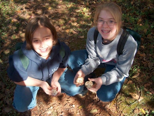 Nature Studies