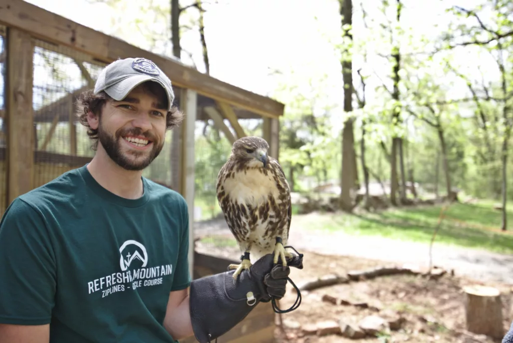 Red Tailed Hawk Birds Of Prey Summer Scaled 1