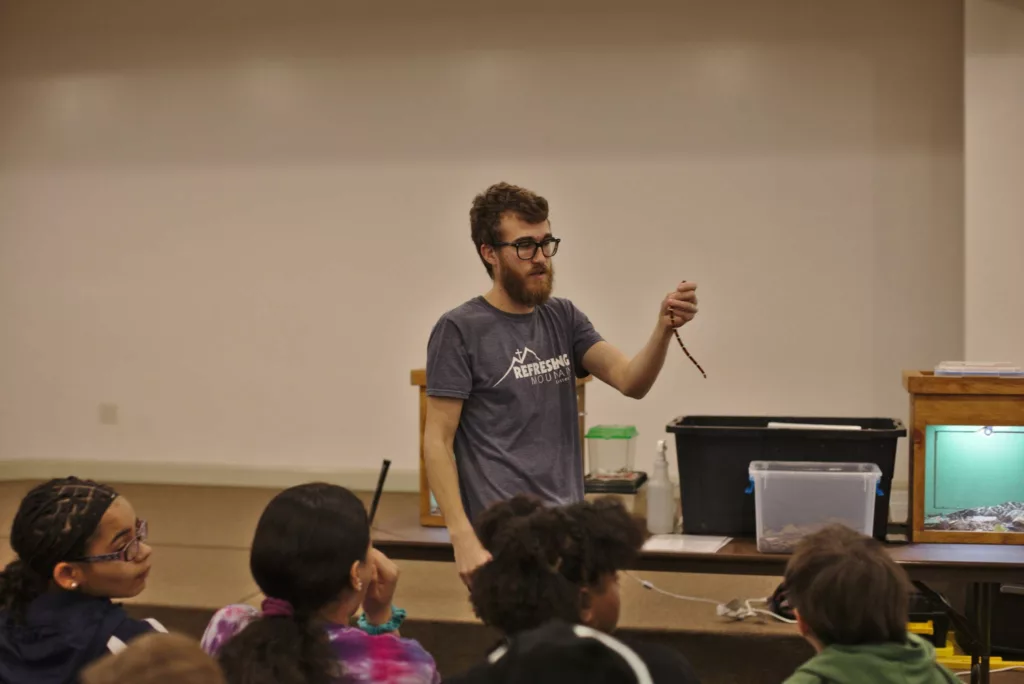 Reptiles Wildlife Kingdom Presentation Scaled 1