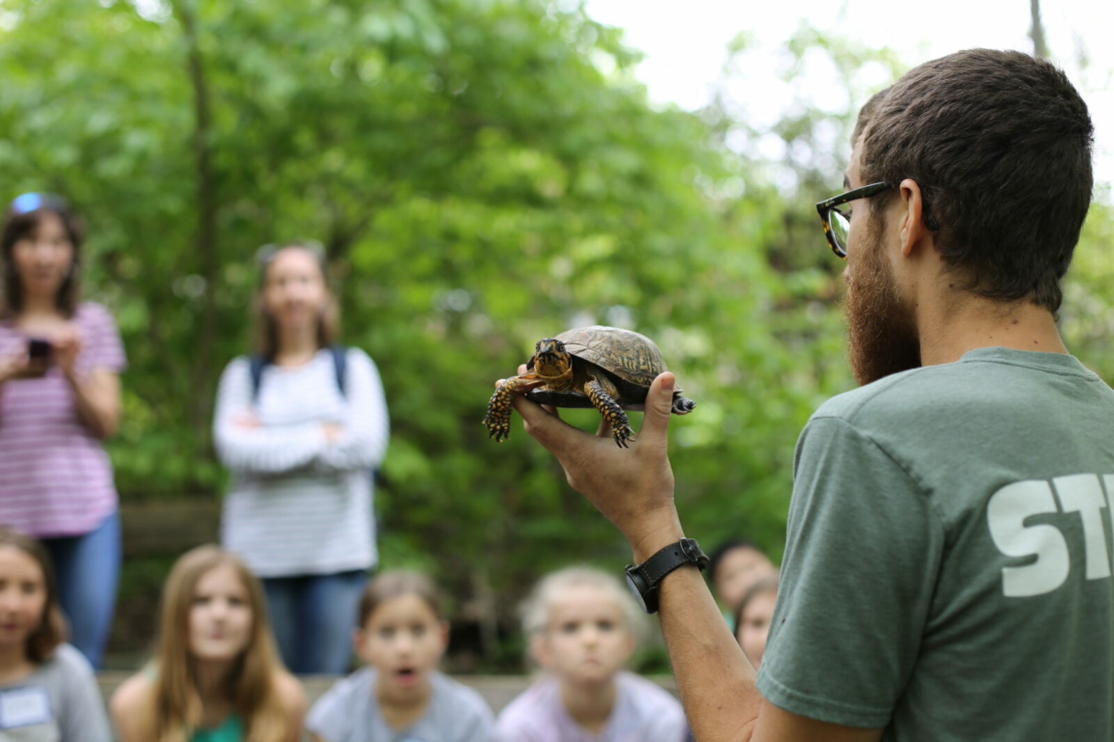 Wildlife Reptiles Summer Kids Scaled 1