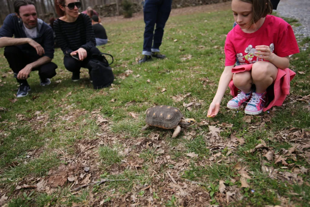 Wildlife Center Reptiles Kid