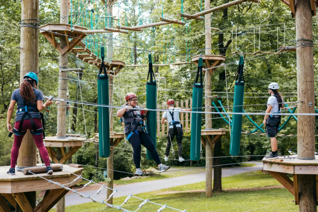 View Elevated Obstacles Patrons Course Guest Scaled 1