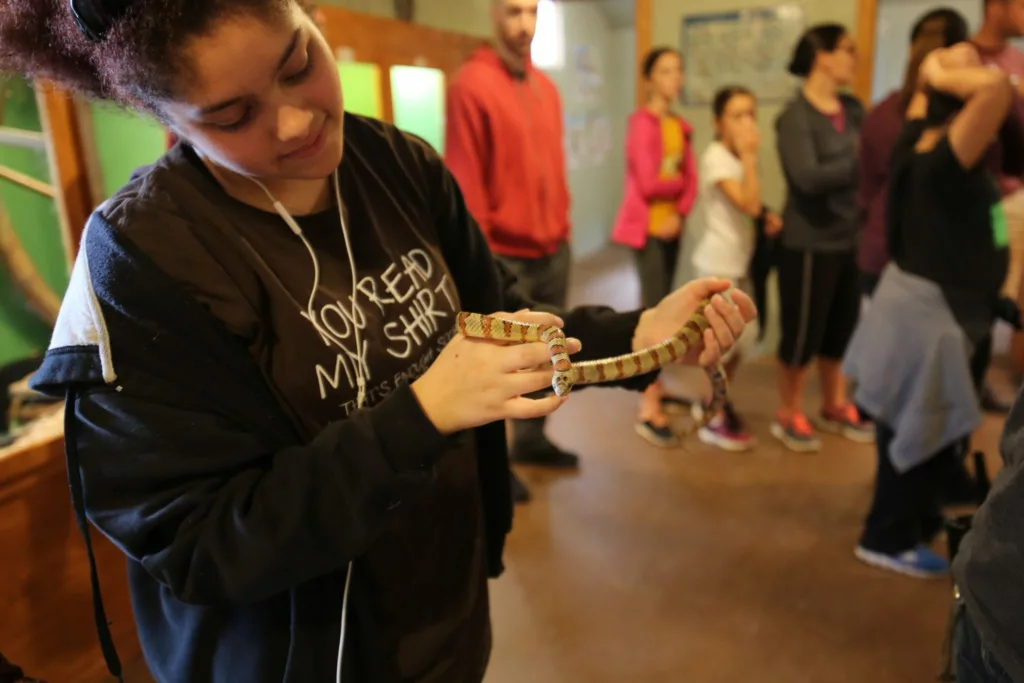 Wildlife Center Kingdom Snake