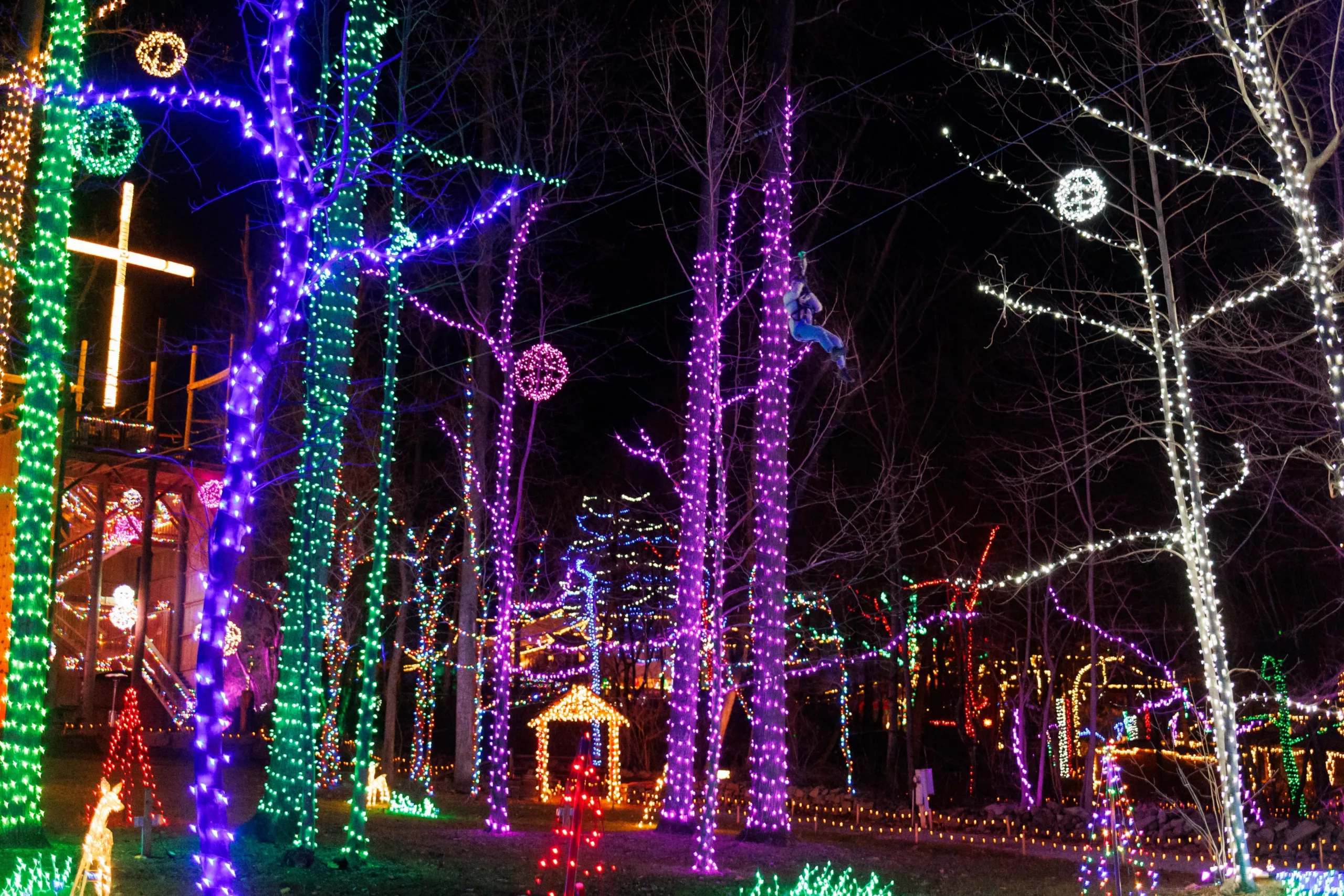 Trees At Refreshing Mountain Wrapped In Christmas Lights At Night